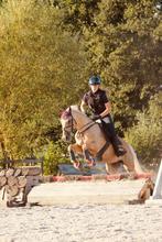 Lieve D-pony merrie (22 jr) en nog lekker voorwaarts!, Dieren en Toebehoren, Pony's, Merrie, Gechipt, 11 jaar of ouder, Recreatiepony