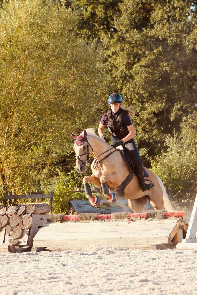 Lieve D-pony merrie (22 jr) voor recreatie of weidemaatje, Dieren en Toebehoren, Pony's, Merrie, D pony (1.37m tot 1.48m), Recreatiepony