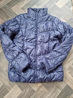 Respartij dames winterjassen diverse maten en uitvoering, Verzenden, Nieuw