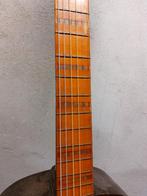 Vintage Egmond Archtop Gitaar, Ophalen of Verzenden, Gebruikt, Overige typen