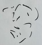 Zeefdruk Wil Blommerde, Antiek en Kunst, Kunst | Litho's en Zeefdrukken, Verzenden