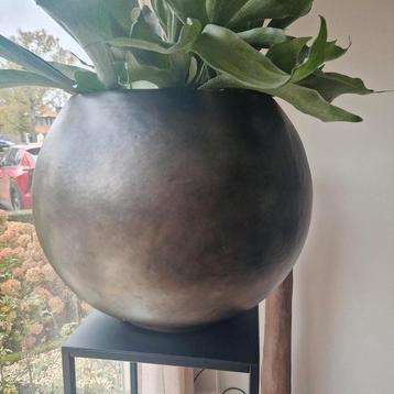 Grote bloempot zwart / goud beschikbaar voor biedingen