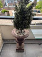 Gietijzeren tuinvazen, Ophalen, Gebruikt