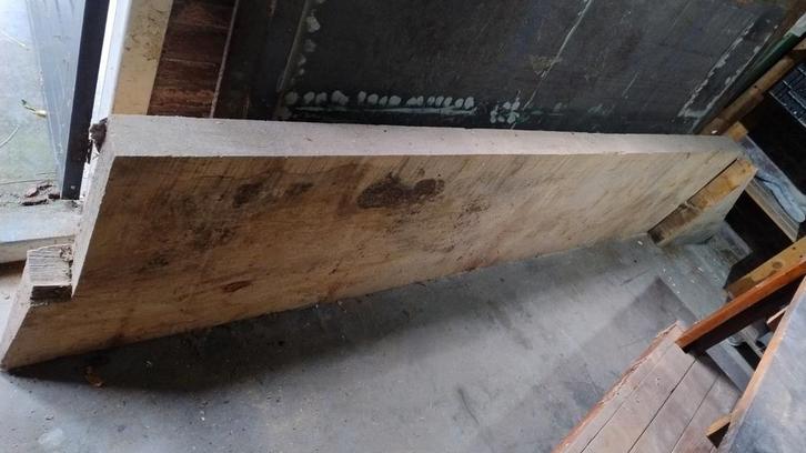 Groot populieren schaaldeel.Tafelblad., Doe-het-zelf en Verbouw, Hout en Planken, Zo goed als nieuw, Overige houtsoorten, 250 tot 300 cm