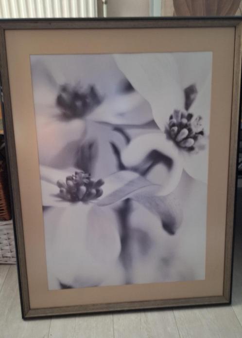 Mooie, grote schilderij, vakkundig ingelijst, Antiek en Kunst, Kunst | Litho's en Zeefdrukken, Ophalen of Verzenden