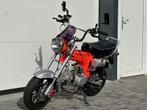 JINCHENG Bromfiets JC50Q (Honda Dax) | Volledig in nieuwstaa, Gebruikt, Info@autobedrijfwegman.nl, 49 cc, Industrieweg 4
4233GA  AMEIDE, NL