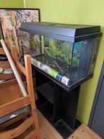 Juwel aquarium met meubel 120 L, Dieren en Toebehoren, Vissen | Aquaria en Toebehoren, Zo goed als nieuw, Ophalen