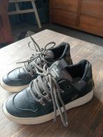 Vingino schoenen nooit gedragen maat 34, Ophalen of Verzenden, Zo goed als nieuw