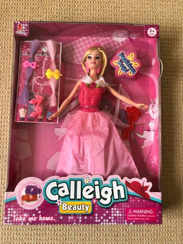 NIEUW! Barbie pop met accessoires (merk Calleigh beauty) beschikbaar voor biedingen
