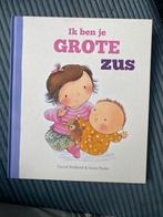 Ik ben je grote zus - David Bedford & Susie Poole, Ophalen of Verzenden, Zo goed als nieuw, 2 tot 3 jaar