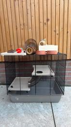 dwerghamster hok, Dieren en Toebehoren, Knaagdieren en Konijnen | Hokken en Kooien, Minder dan 60 cm, Minder dan 75 cm, Ophalen of Verzenden