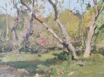Cornelis Vreedenburgh (1880-1946)-Landschap met berkenbomen, Antiek en Kunst, Ophalen of Verzenden