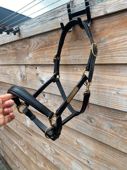 Nieuwe Leer Premiere Halster Zwart Leer / Cob, Dieren en Toebehoren, Paarden en Pony's | Overige Paardenspullen, Nieuw, Overige soorten