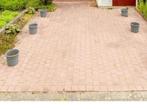 Gratis Rood roze tegels 15x15x6 cm, Ophalen, Gebruikt, Minder dan 5 m², Beton