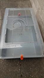 Cavia/hamster kooi, Dieren en Toebehoren, Kooi, Gebruikt, Minder dan 75 cm, Hamster