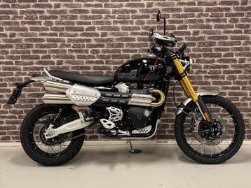 Triumph SCRAMBLER 1200 XE (bj 2024) beschikbaar voor biedingen