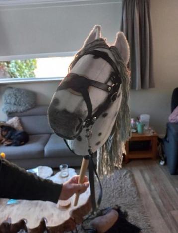 Humma professionele hobbyhorse uit Finland zgan beschikbaar voor biedingen