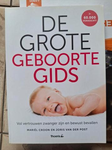 Joris van der Post - De grote geboorte gids beschikbaar voor biedingen