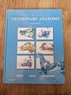 Textbook of Veterinary Anatomy, Boeken, Ophalen of Verzenden, Beta, Gelezen