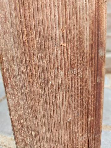 10x (eventueel meer) Azore hardhout plank 1,2 x 9 x 180 cm  beschikbaar voor biedingen