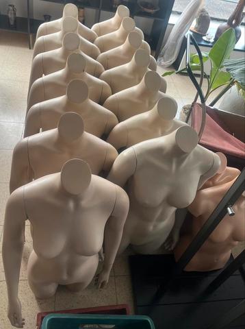 14x Paspop torso beschikbaar voor biedingen