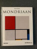 MONDRIAAN, Ophalen of Verzenden, Zo goed als nieuw, Schilder- en Tekenkunst