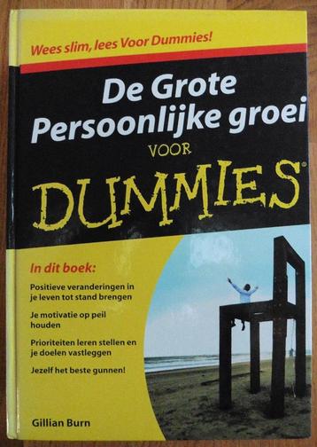 De Grote Persoonlijke groei voor Dummies – Gillian Burn   beschikbaar voor biedingen