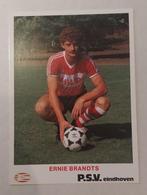 PSV spelerskaart Ernie Brandts met echte handtekening, Ophalen of Verzenden, Zo goed als nieuw, PSV, Spelerskaart