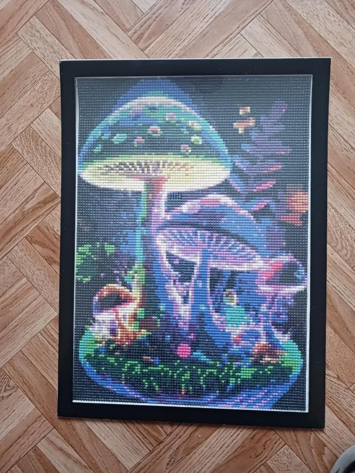 Afgewerkte diamond painting " Paddenstoelen" ingekaderd, Hobby en Vrije tijd, Knutselen, Zo goed als nieuw, Knutselwerk, Ophalen of Verzenden