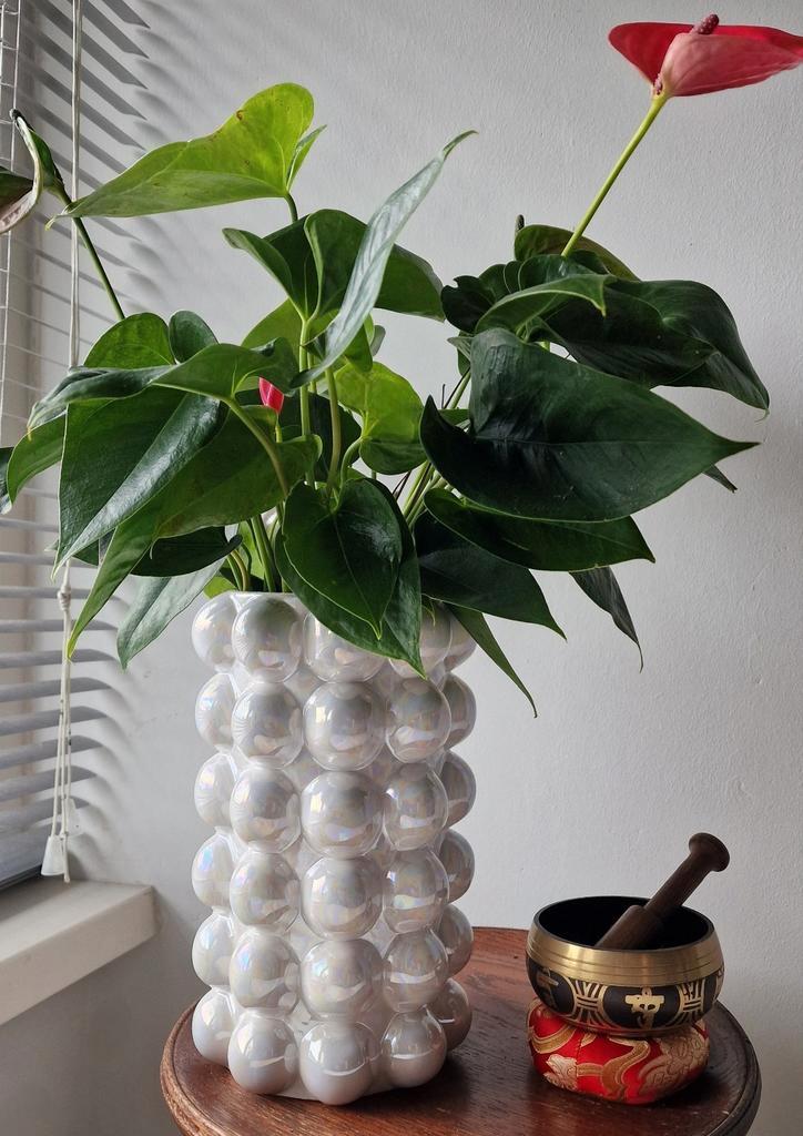 Prachtig wit parelmoer 'bubbly' vaas, Huis en Inrichting, Woonaccessoires | Vazen, Zo goed als nieuw, Wit, Minder dan 50 cm, Ophalen of Verzenden