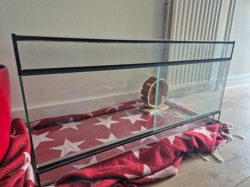 Glazen terrarium/kooi voor knaagdier, Dieren en Toebehoren, Knaagdieren en Konijnen | Hokken en Kooien, Gebruikt, Kooi, Minder dan 60 cm