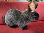Paashaas 🐰 life like knuffelkonijn (75cm) van Hansa toys UK, Kinderen en Baby's, Ophalen of Verzenden, Nieuw, Konijn