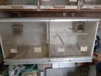 Broedkooi met tussenschot, Dieren en Toebehoren, Ophalen, Gebruikt, Hout, Broedkooi of Kweekkooi