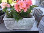 BROCANTE oude buitenpot pot  steen OPHALEN CHCS, Ophalen