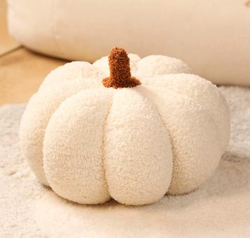 Zachte Pompoen Kussens Herfst Sfeer |Bundelactie & Zomerdeal beschikbaar voor biedingen