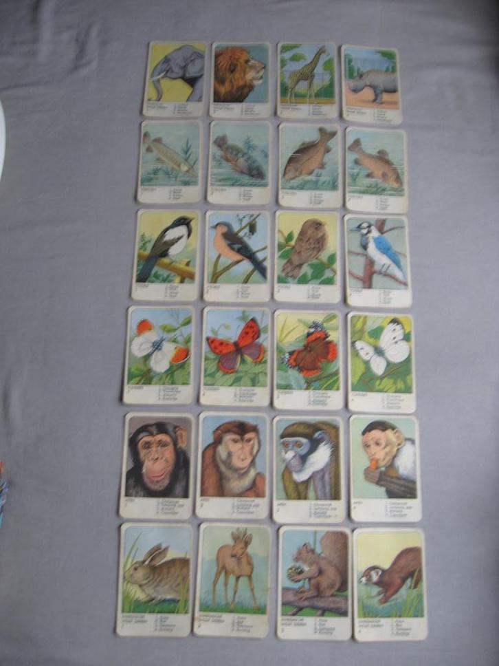 6 kwartetten in oude spelling (zonder doosje), Verzamelen, Speelkaarten, Jokers en Kwartetten, Gebruikt, Speelkaart(en), Ophalen of Verzenden