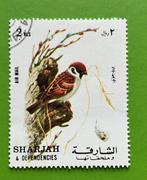 Vogel mus, Postzegels en Munten, Postzegels | Thematische zegels, Ophalen of Verzenden, Gestempeld, Dier of Natuur