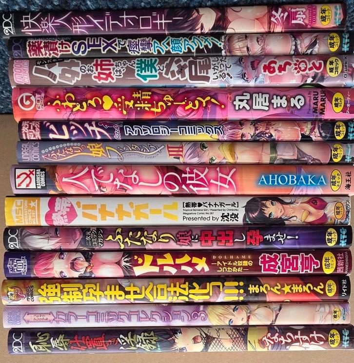 Verschillende Hentai Mangas, Japans 18+, Boeken, Strips | Comics, Zo goed als nieuw, Meerdere comics, Japan (Manga), Ophalen of Verzenden