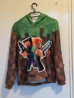 Minecraft Trui Maat 158, Ophalen of Verzenden, Zo goed als nieuw, Jongen of Meisje