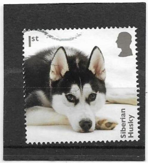 Engeland 2024 Dogs - Siberian Husky, Postzegels en Munten, Postzegels | Europa | UK, Gestempeld, Verzenden