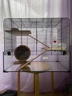Luxe hamster kooi, Kooi, Minder dan 75 cm, Zo goed als nieuw, Hamster