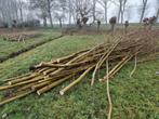 Kachelhout wilg gratis op te halen, Tuin en Terras, Haardhout, Minder dan 3 m³, Ophalen of Verzenden