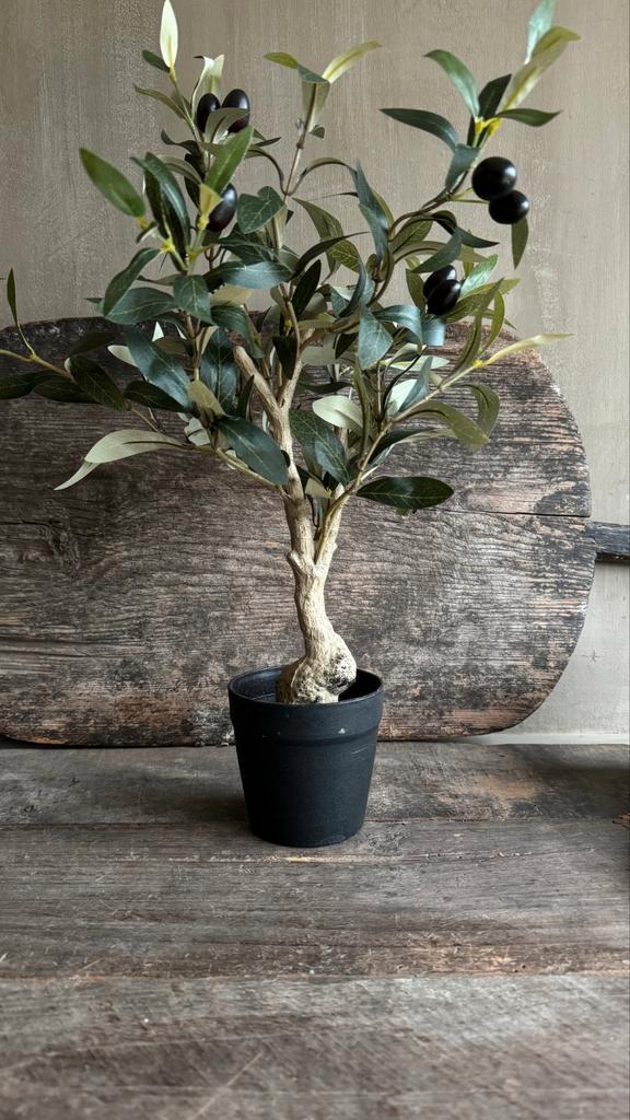 Twee Kleine Kunst Olijfboom - Sfeervolle Decoratie, Huis en Inrichting, Woonaccessoires | Kunstplanten en Kunstbloemen, Nieuw