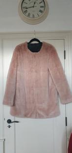 Only teddy/fluffy winterjas maat xl zgan, Kleding | Dames, Jassen | Winter, Ophalen of Verzenden, Zo goed als nieuw, Maat 46/48 (XL) of groter