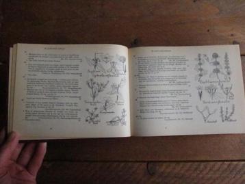 Mooi voor junkjournal: Geïllustreerde Flora van Nederland beschikbaar voor biedingen