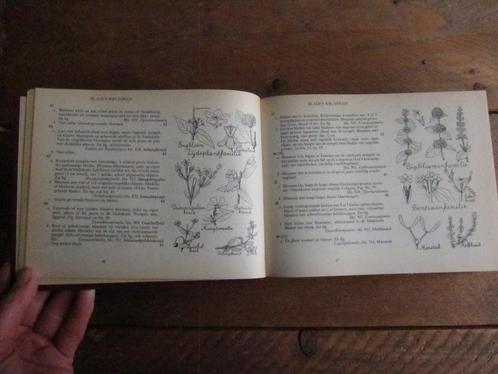 Mooi voor junkjournal: Geïllustreerde Flora van Nederland, Hobby en Vrije tijd, Scrapbooking, Zo goed als nieuw, Album of Boek