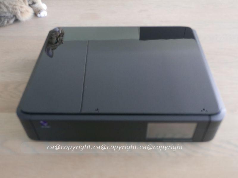 PS Audio PerfectWave DirectStream DAC + Network Bridge II, Ophalen of Verzenden, Gebruikt
