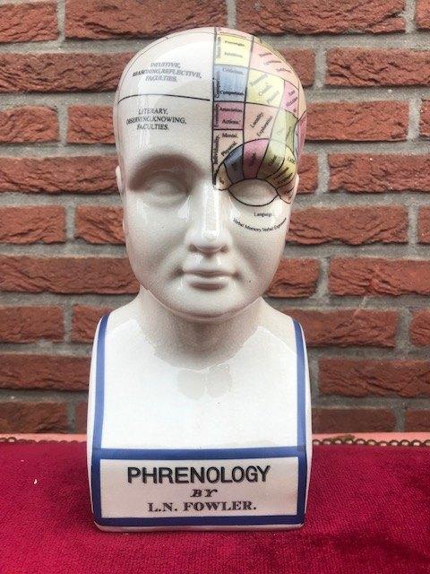 porseleinen studiemodel, FRENOLOGIE, Antiek en Kunst, Ophalen of Verzenden