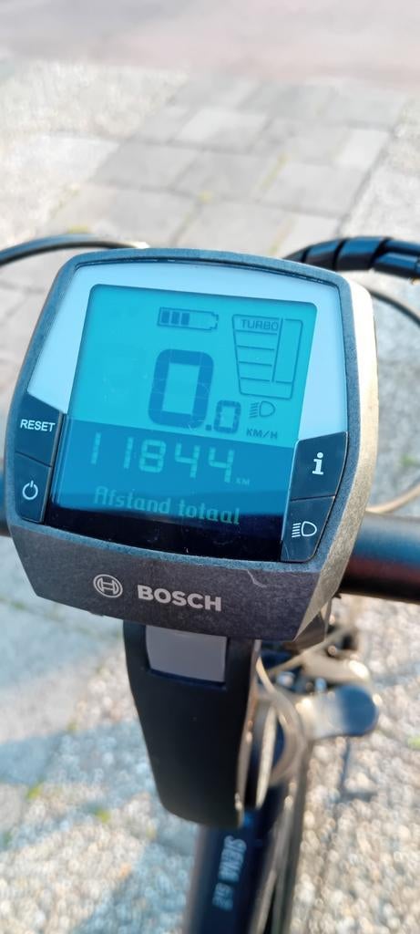 Pegasus Siena E7F Plus E-bike, Fietsen en Brommers, Gebruikt, 51 tot 55 cm, 50 km per accu of meer, Ophalen