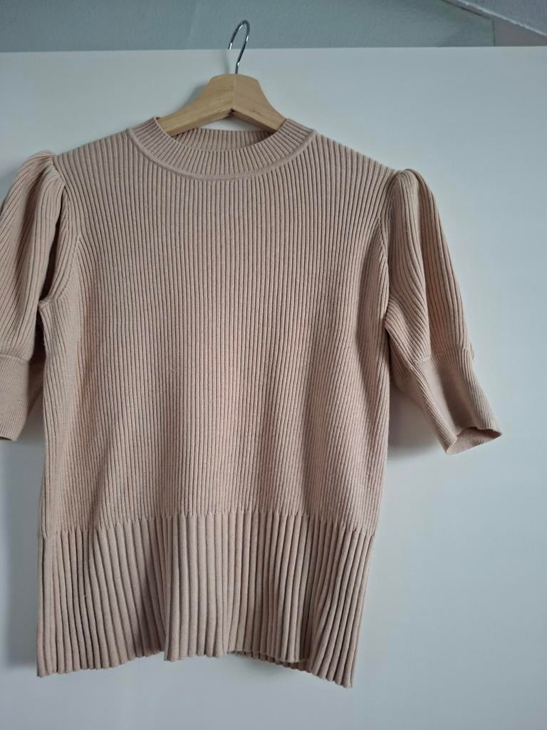 Caroline biss truitje maat 38, Kleding | Dames, Tops, Ophalen of Verzenden, Zo goed als nieuw, Maat 38/40 (M), Korte mouw